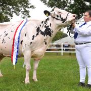 Charlotte Moody from Nortons Farm near Chelmsford: Winner of the Dairy Inter-Breed championships at the 2018 Suffolk Show
    Picture: NICK BUTCHER