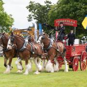 Here is everything you need to know about the Suffolk Show in 2023