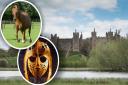 What is the biggest icon of Suffolk? Framlingham Castle, the Suffolk Punch and Sutton Hoo mask are among the contenders for the top spot