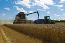 The invasion of Ukraine has sent wheat prices rocketing as its ports close