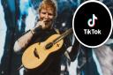 Ed Sheeran has been named the most-viewed musical artist on TikTok