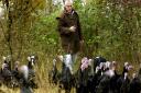 Paul Kelly of Kelly Turkeys with his free range birds being fattened for the Christmas market