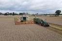 Harvest in full swing on the Euston Estate in west Suffolk