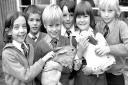 Pupils at Downing Primary School (now The Willows Primary) Ipswich, with the schools pet rabbits in November 1977  Picture: JERRY TURNER