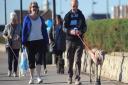 Dogs must be kept on leads on Felixstowe seafront - now people are being asked if the rules should apply to the seafrontparks and gardens Picture: SU ANDERSON