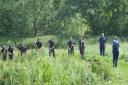 Essex Police last year searched the area near Scarfe Way in the investigation into the murder of Nahid Almanea.