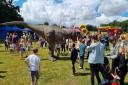 A dinosaur visited Bourne Park in Ipswich as part of the free family fun day