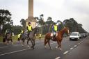 Horses crossing a Suffolk road