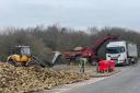 Workers removing the sugar beet in Old Norwich Road near Ipswich