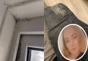 Ipswich mum worries about her daughters' health after living in mouldy flat for a year, Supplied