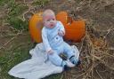 Baby Harrison sitting in a field of pumpkins