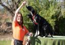 Owner of The Dogs Squad in Christchurch Park Lisa Correll has new plans to have an indoor training centre
