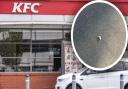 KFC reinforces safety measures after maggots found in Ipswich restaurant