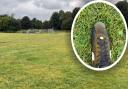 Walkers have complained about a yellowish-orange patina at Brunswick Road Park in Ipswich