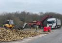 Workers removing the sugar beet in Old Norwich Road near Ipswich