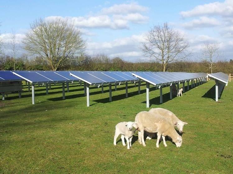 Great Blakenham solar farm plans to be discussed by council 