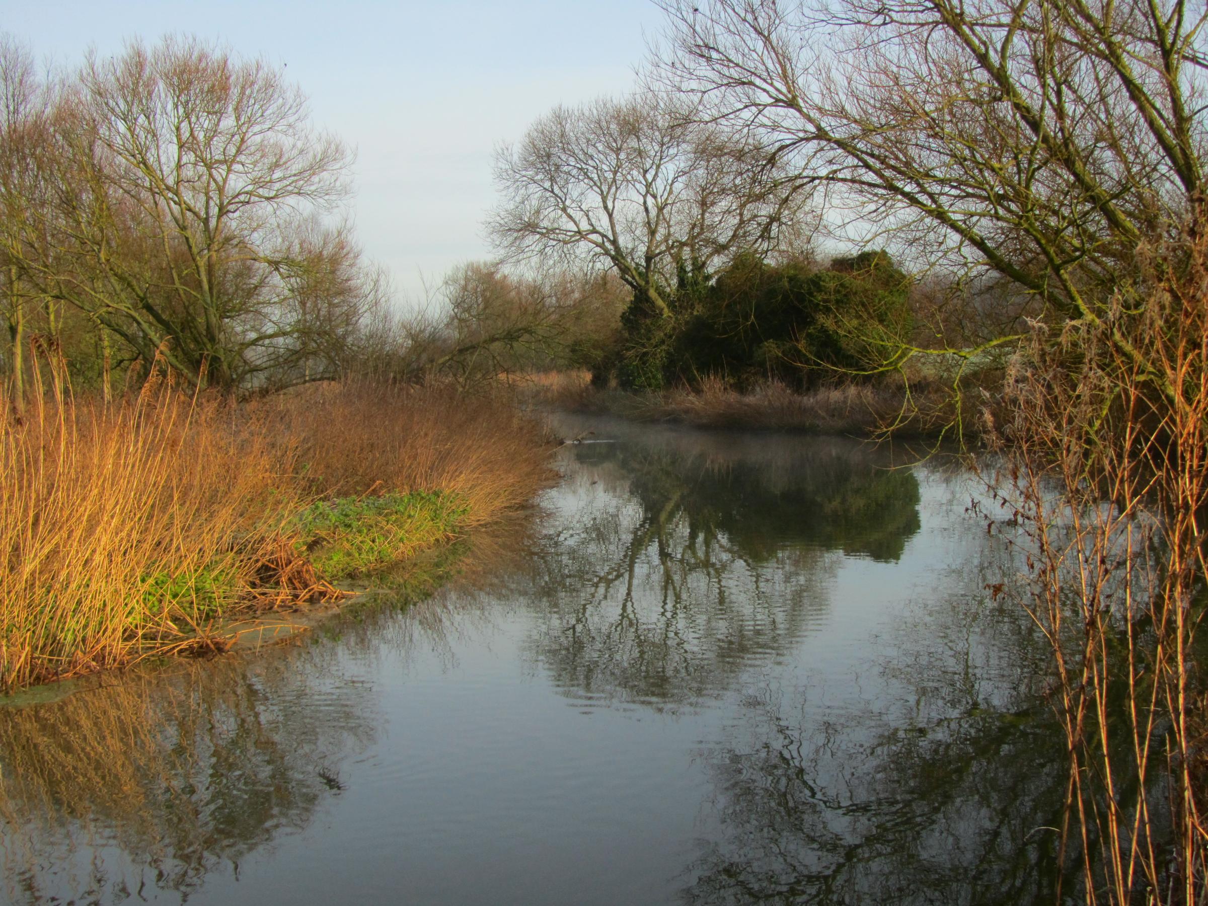 Cancer-causing chemicals found in River Gipping in Suffolk - Vimarsana News