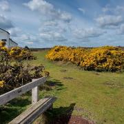 The National Trust's Dunwich Heath reserve is free - but non-members do have to pay to park there.