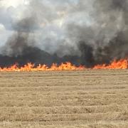 The blaze is the latest field fire to break out in the Ipswich area