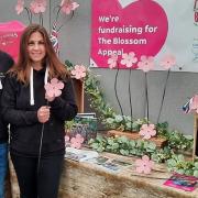 The creators of 1000 metal blooms sold to raise money for Ipswich Hospital have relaunched their campaign with 400 baby pink flowers.