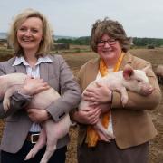 Foreign Secretary Liz Truss can count on the support of Dr Therese Coffey. They were pictured at a Suffolk farm when the Norfolk MP was Environment Secretary.