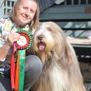 Baggins the dog has won a rosette at Crufts with owner Shirley Hinchliffe PICTURE: CHARLOTTE BOND