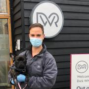 Mavis the French Bulldog has undergone spine surgery to help treat a degenerative disease she's living with