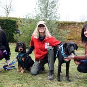 Yvonne Fowler with Leon, Jai Cross, Sharon Ibbotson with Winston. Service Dog training in Otley  PICTURE; CHARLOTTE BOND