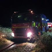 Fire crews were called to rescue a deer trapped in water during the early hours of this morning