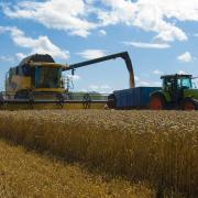 The invasion of Ukraine has sent wheat prices rocketing as its ports close