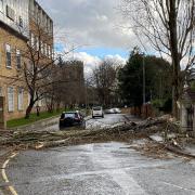 A tree came down blocking Portman Road in Ipswich during Storm Eunice.