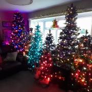 Cara Chinery has managed to decorate her living room with an incredible 16 Christmas trees.