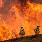 Wildfires like this in California have become more common this century - but will this persuade politicians to take radical action to reverse climate change?