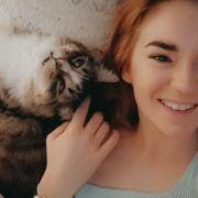 Ipswich cat owner Gemma Smith had one kitten die from feline pancytopenia