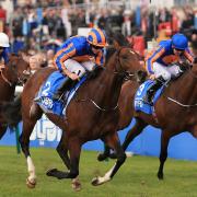 Horseracing in Newmarket is one of West Suffolk's key industries