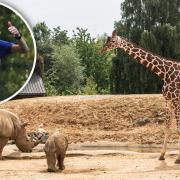 Mark Prigg will be running 50 miles around Colchester Zoo to mark his 50th birthday, raising vital funds to help the zoo in its fight for survival.