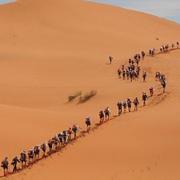 Runners tackle the sand dunes of The Marathon des Sables, in Morocco