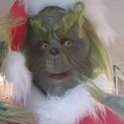 The Kesgrave Grinch, complete in costume, has been walking around with his dog Rox