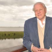 Sir David Attenborough's acclaimed wildlife documentaries would be too expensive to make if the BBC was to cease being funded by a licence fee Photo: Sarah Lucy Brown