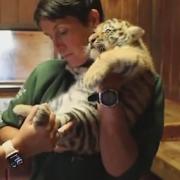 The tiger cubs at Colchester zoo are now a month old. Picture: COLCHESTER ZOO