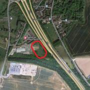 An area of land off Paper Mill Lane, Claydon, which could become a lorry park if plans are approved.