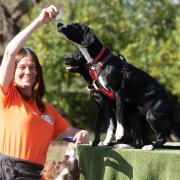 Owner of The Dogs Squad in Christchurch Park Lisa Correll has new plans to have an indoor training centre