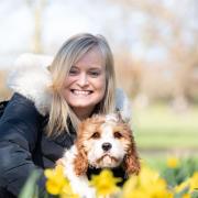 Amanda Coxhead with her puppy Bonnie amongst the daffodils in Christchurch Park.  Picture: Sarah Lucy Brown