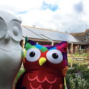 The Big Hoot is almost upon us, and St Elizabeth Hospice have announced the event will kick off with a special Hoot Hike.
