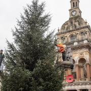 Ipswich's Christmas tree has now arrived on the Cornhill.  Picture: Sarah Lucy Brown