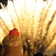 Felixstowe Firework Spectacular has been cancelled for the third year, due to uncertainty over whether East Suffolk Council will be introducing a firework ban on its land.