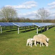 Suffolk Council believe prosposed solar farm in Great Blakeham is acceptable
