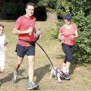 An Ipswich Westie has completed his 250th park run, racking up the equivalent of running from Ipswich to Wales twice.