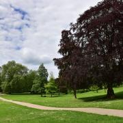 The incident happened on April 4 in Christchurch Park. Credit: Newsquest