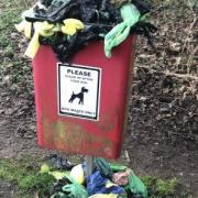 The dog bags overflowing from the bin in Martlesham
